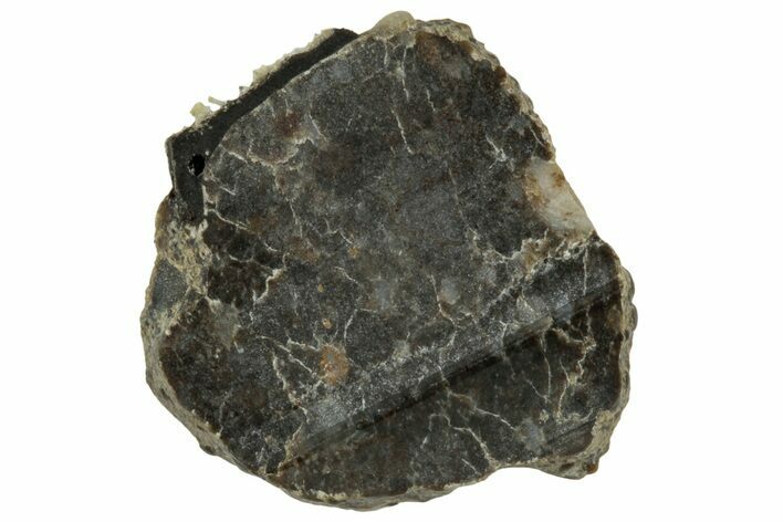 Lunar Meteorite ( g) Slice - Laayoune #313377